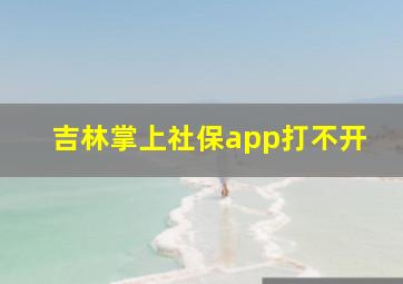 吉林掌上社保app打不开