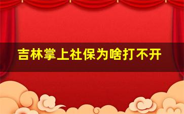 吉林掌上社保为啥打不开