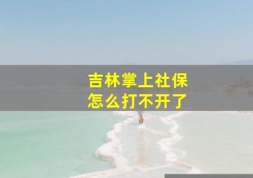 吉林掌上社保怎么打不开了