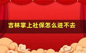 吉林掌上社保怎么进不去