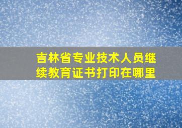 吉林省专业技术人员继续教育证书打印在哪里