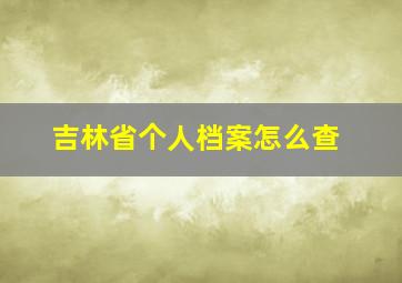 吉林省个人档案怎么查