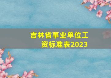 吉林省事业单位工资标准表2023