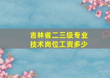 吉林省二三级专业技术岗位工资多少