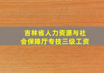 吉林省人力资源与社会保障厅专技三级工资