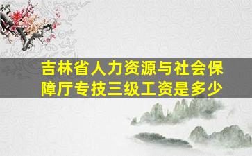 吉林省人力资源与社会保障厅专技三级工资是多少