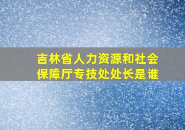 吉林省人力资源和社会保障厅专技处处长是谁