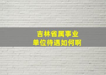 吉林省属事业单位待遇如何啊