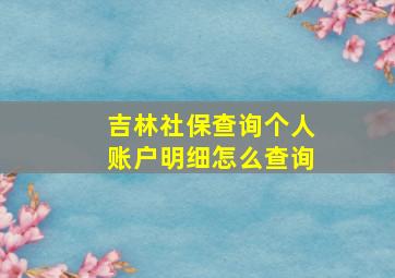 吉林社保查询个人账户明细怎么查询