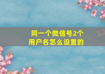 同一个微信号2个用户名怎么设置的