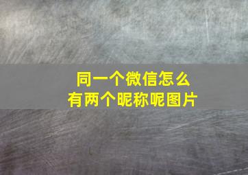 同一个微信怎么有两个昵称呢图片