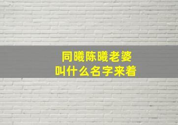 同曦陈曦老婆叫什么名字来着