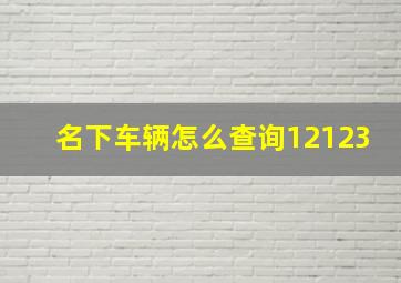 名下车辆怎么查询12123