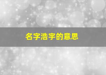 名字浩宇的意思