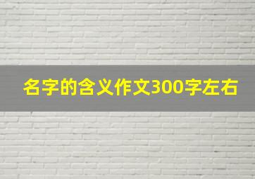 名字的含义作文300字左右