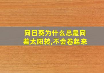 向日葵为什么总是向着太阳转,不会卷起来