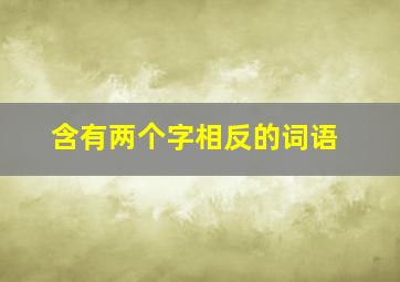 含有两个字相反的词语