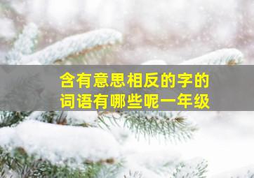 含有意思相反的字的词语有哪些呢一年级