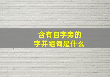 含有目字旁的字并组词是什么