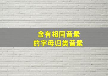 含有相同音素的字母归类音素