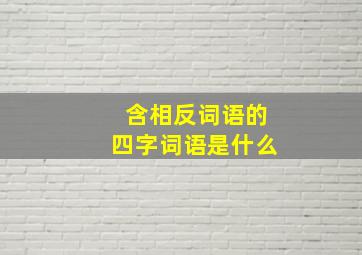 含相反词语的四字词语是什么