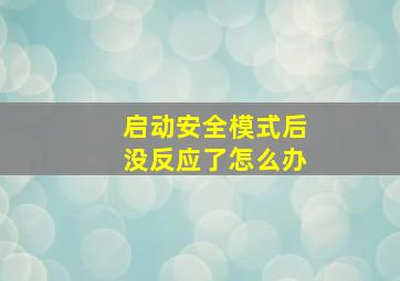 启动安全模式后没反应了怎么办