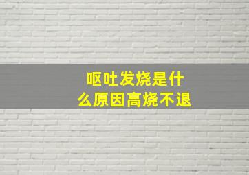 呕吐发烧是什么原因高烧不退