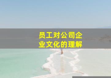 员工对公司企业文化的理解