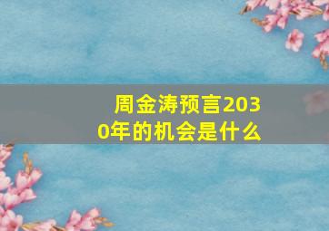 周金涛预言2030年的机会是什么