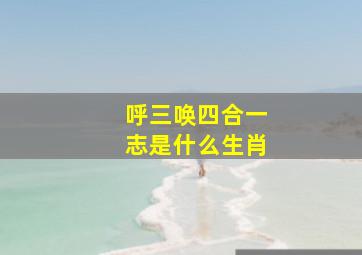 呼三唤四合一志是什么生肖