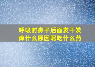 呼吸时鼻子后面发干发痒什么原因呢吃什么药