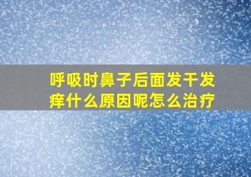 呼吸时鼻子后面发干发痒什么原因呢怎么治疗