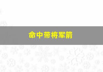 命中带将军箭