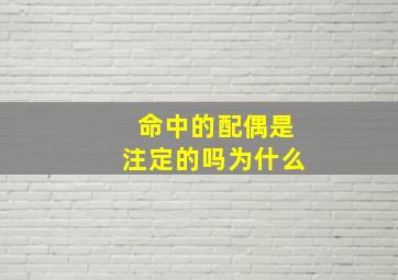 命中的配偶是注定的吗为什么