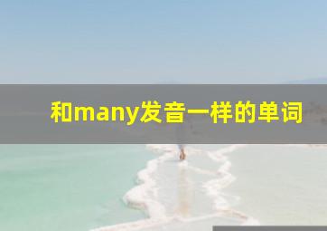 和many发音一样的单词