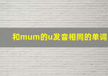 和mum的u发音相同的单词