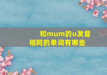 和mum的u发音相同的单词有哪些