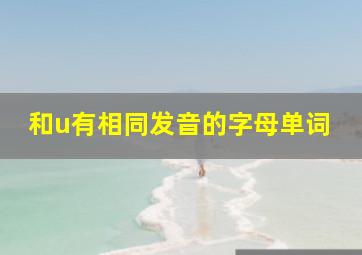 和u有相同发音的字母单词