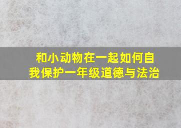 和小动物在一起如何自我保护一年级道德与法治