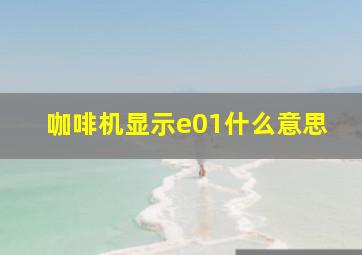 咖啡机显示e01什么意思