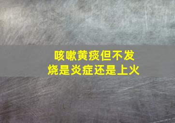 咳嗽黄痰但不发烧是炎症还是上火