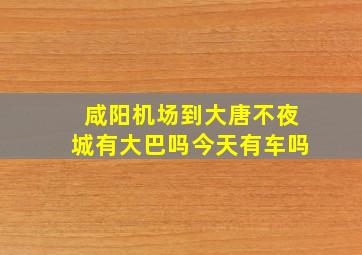 咸阳机场到大唐不夜城有大巴吗今天有车吗