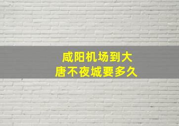 咸阳机场到大唐不夜城要多久