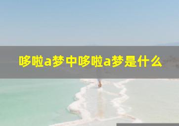 哆啦a梦中哆啦a梦是什么