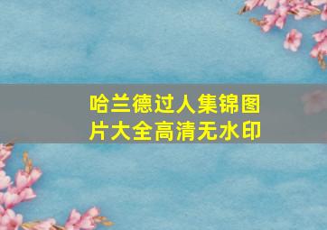 哈兰德过人集锦图片大全高清无水印