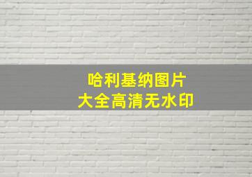 哈利基纳图片大全高清无水印