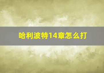 哈利波特14章怎么打