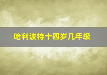 哈利波特十四岁几年级