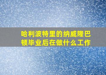 哈利波特里的纳威隆巴顿毕业后在做什么工作