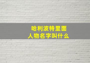 哈利波特里面人物名字叫什么